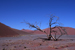 namibia 059